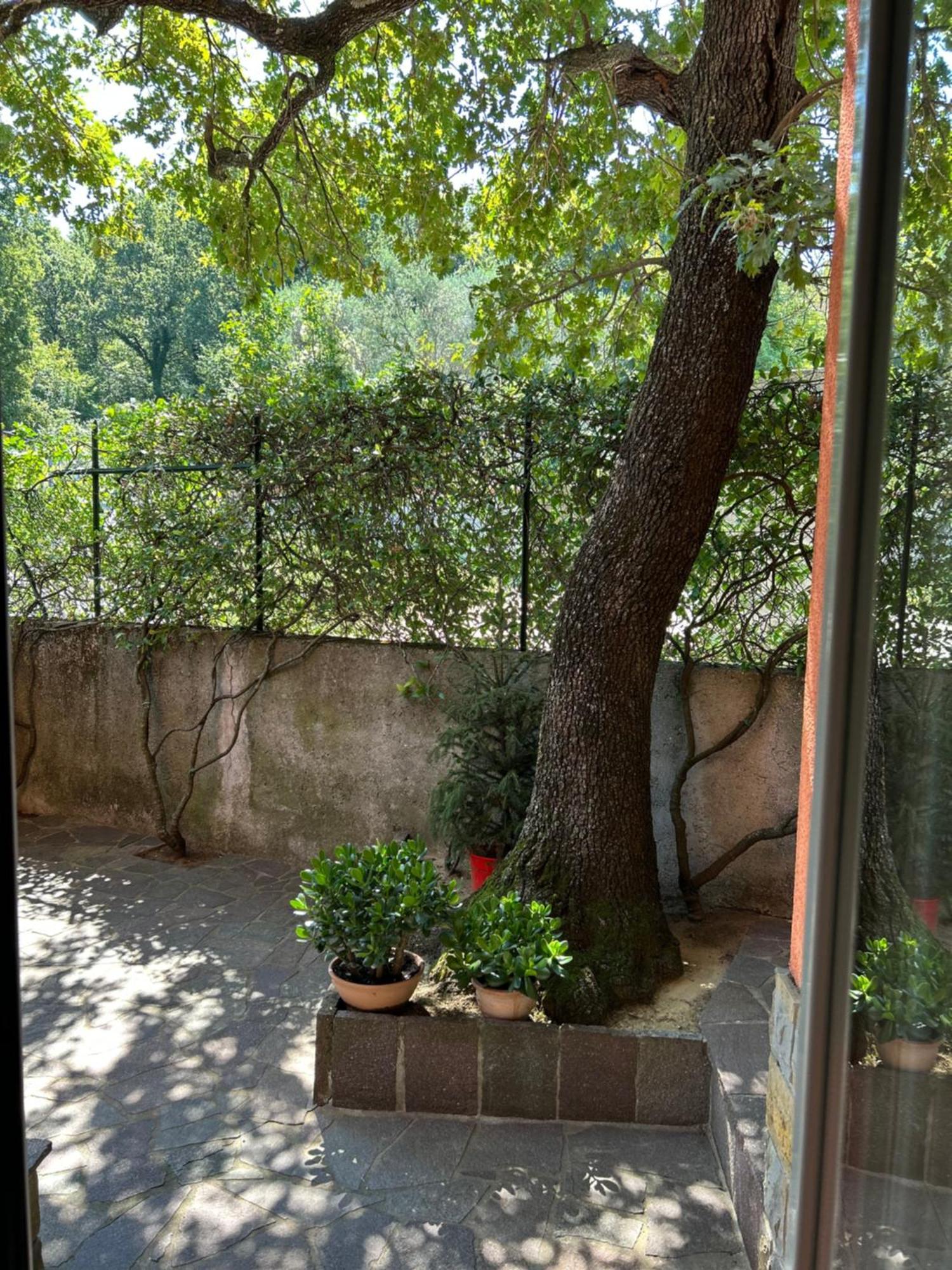 Ai 2 Olmi - Monolocali Nel Verde Múggia Exterior foto